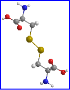 L-aspartic acid 3 D structure
