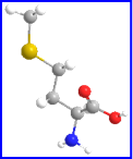 Lysine3 D structure