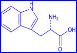 lysine - structural formula