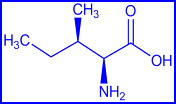leucine - structural formula
