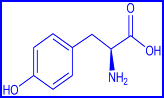 lysine - structural formula